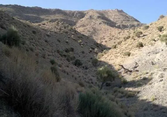 منطقه حفاظت شده کوه آسیاب