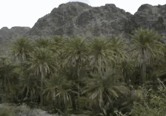 منطقه کوهستانی درباغ قلعه گنج