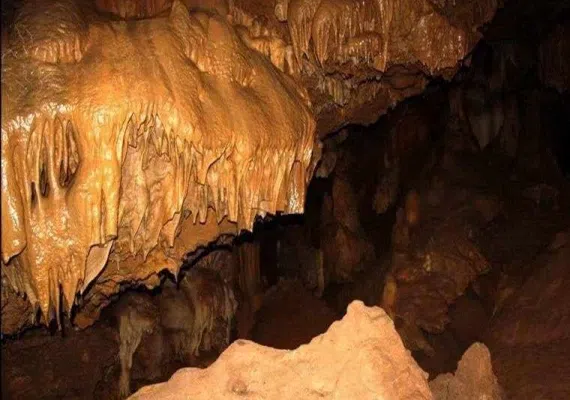 غارجفریز