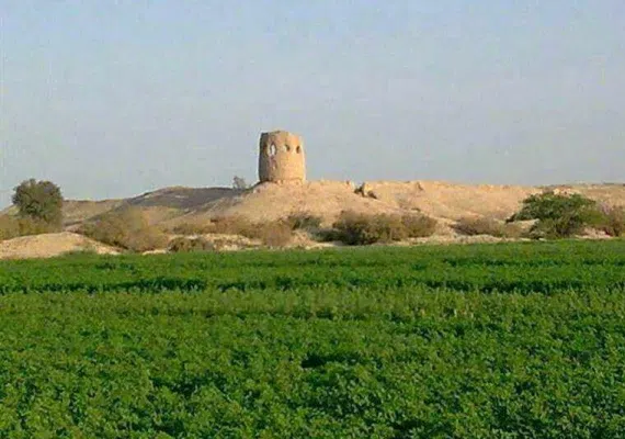 قلعه میش پدام رودبارجنوب