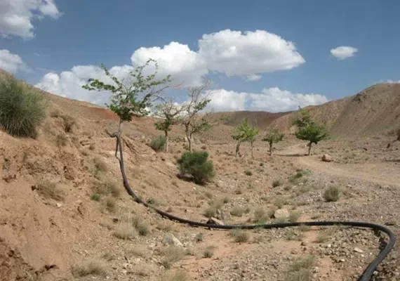 روستای داهوییه