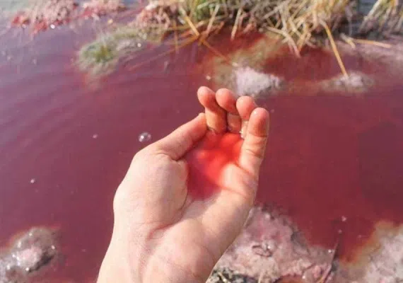 چشمه آبگرم کلپورگو