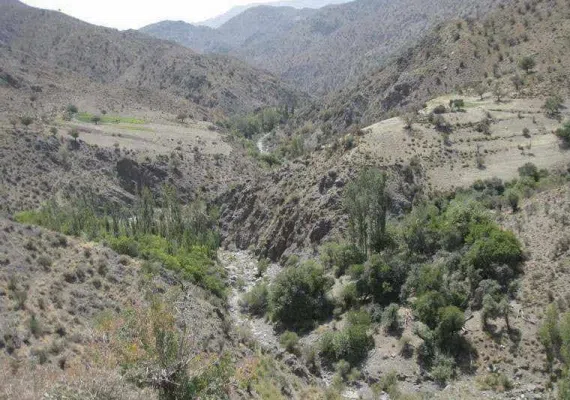 منطقه حفاظت شده زریاب