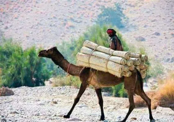 روستای مارز قلعه گنج