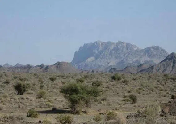 پناهگاه و حیات وحش مهروئیه