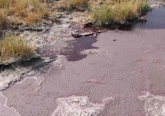 چشمه آبگرم کلپورگو