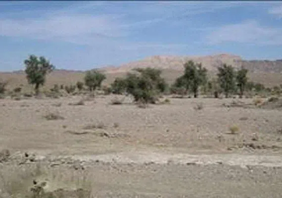 منطقه حفاظت شده مارز