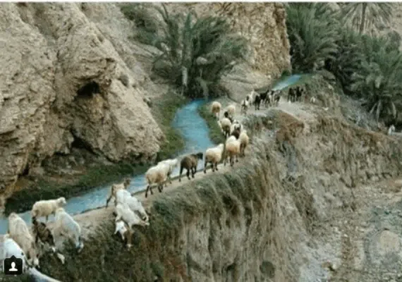 روستای مارز قلعه گنج