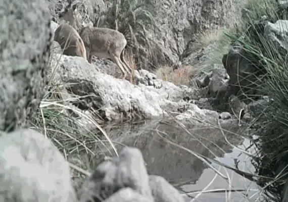 منطقه حفاظت شده مارز