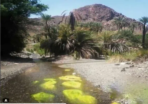 روستای مارز قلعه گنج