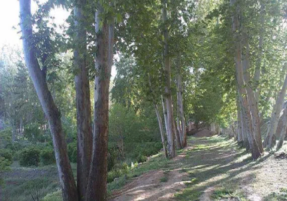 روستای سرتخت