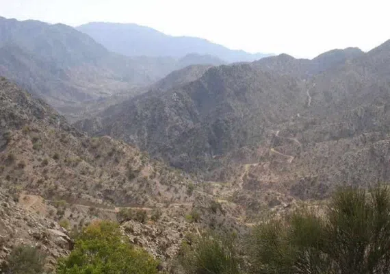 منطقه حفاظت شده زریاب