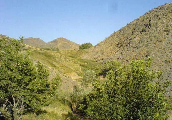 منطقه حفاظت شده زریاب