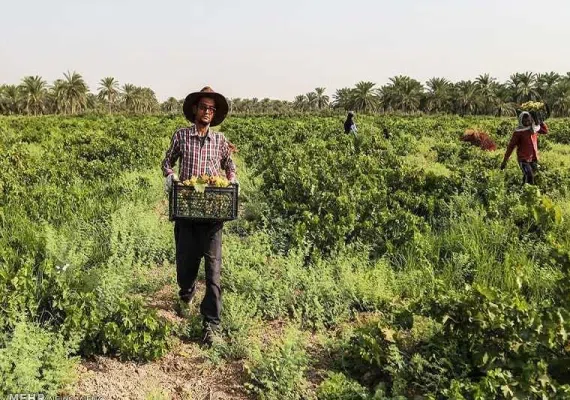 روستای خواجه عسکر