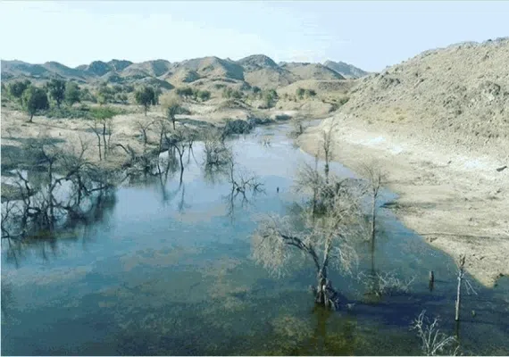 سدهای شش گانه پاسبین