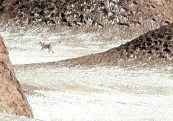 منطقه حفاظت شده دربند