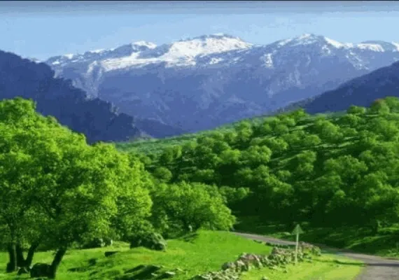 پناهگاه حیات وحش مهروئیه