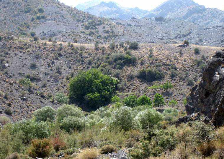 منطقه حفاظت شده سنگ مس