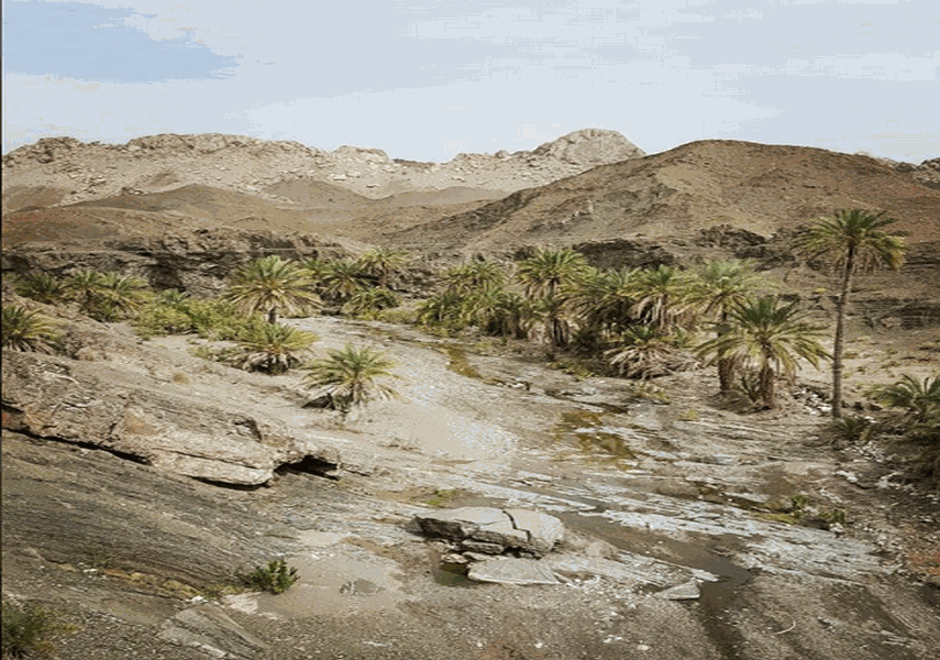 روستا و دره شهکهان