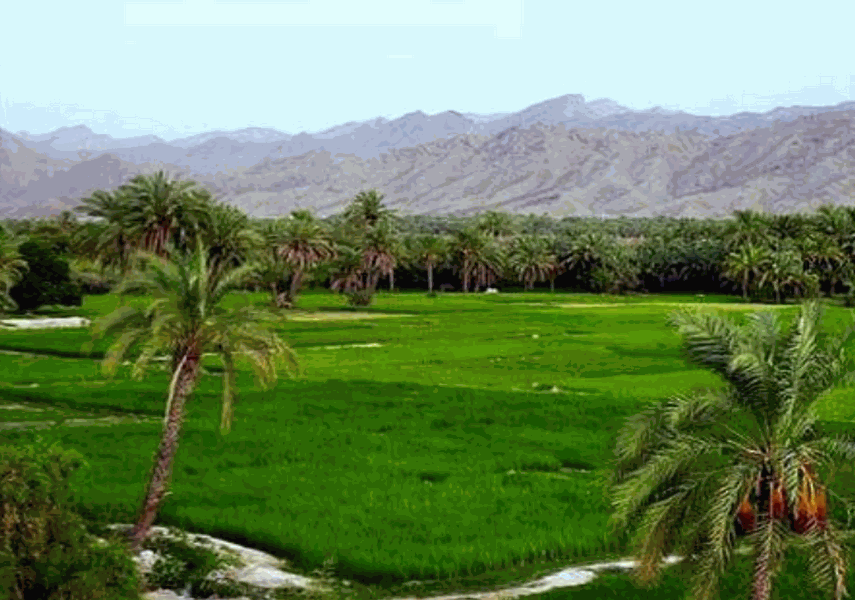 روستای مارز قلعه گنج