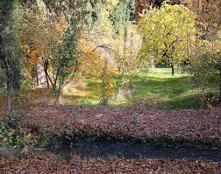 باغ شازده زرند