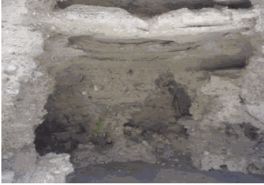 منطقه کوهستانی درباغ قلعه گنج