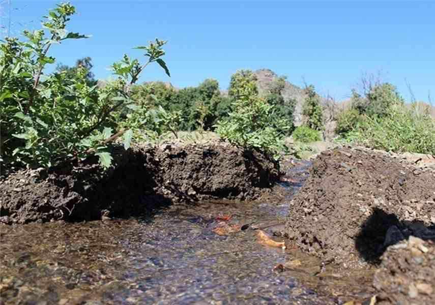 روستای کویری همیشه بهار کشیت