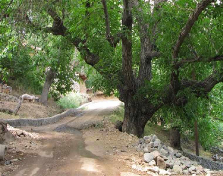 روستا کلدان