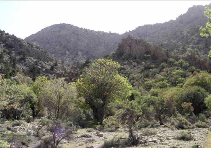 منطقه حفاظت شده مارز