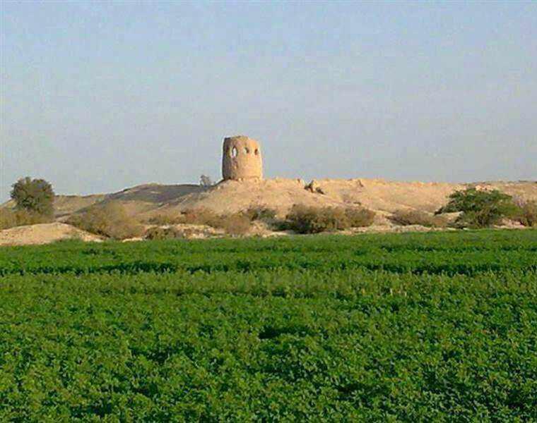 قلعه میش پدام رودبارجنوب