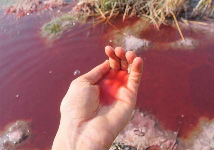 چشمه آبگرم کلپورگو