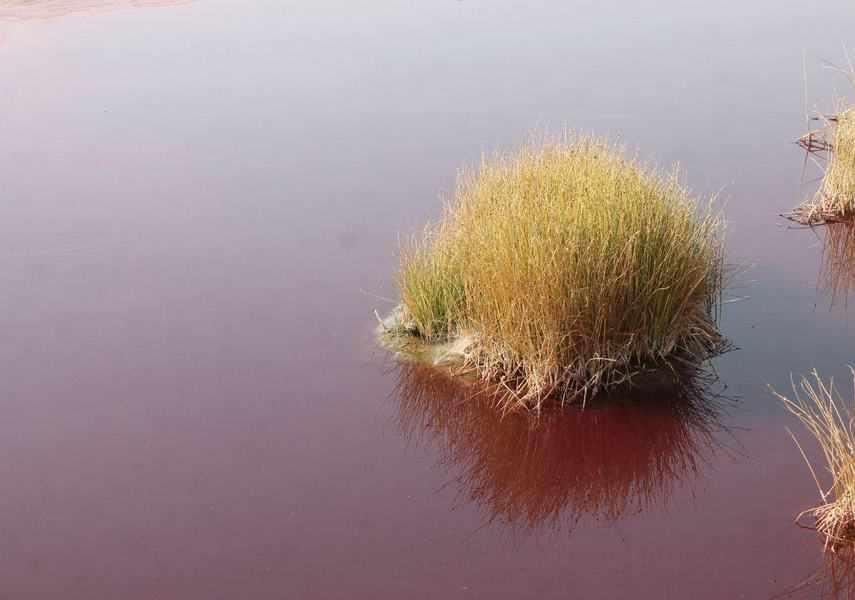 چشمه آبگرم کلپورگو