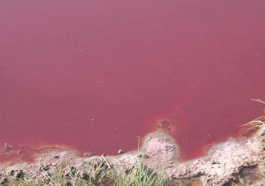 چشمه آبگرم کلپورگو