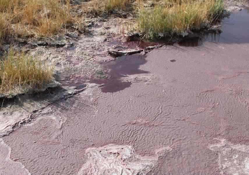 چشمه آبگرم کلپورگو