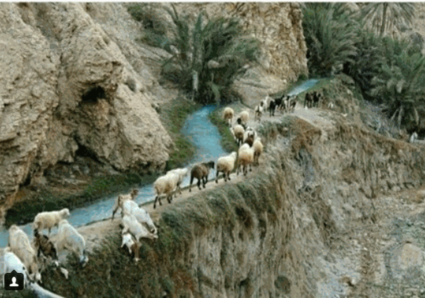 روستای مارز قلعه گنج