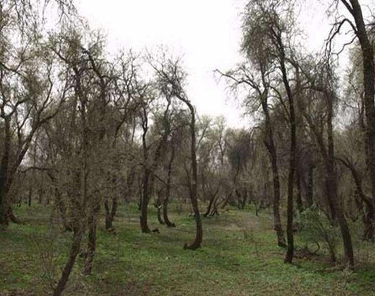 پناهگاه و حیات وحش مهروئیه