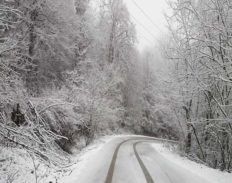 روستای ننیز علیا