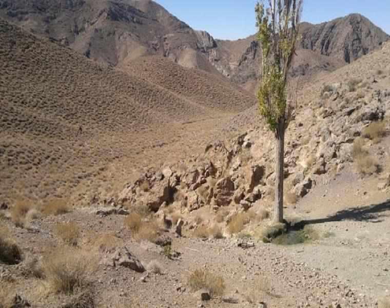 منطقه حفاظت شده کوه آسیاب