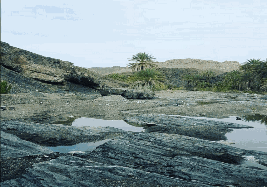 روستا و دره شهکهان