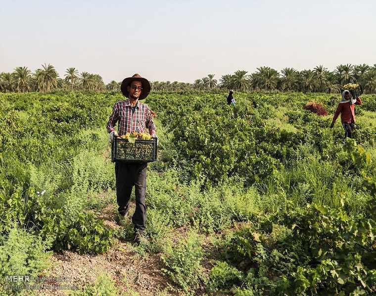 روستای خواجه عسکر