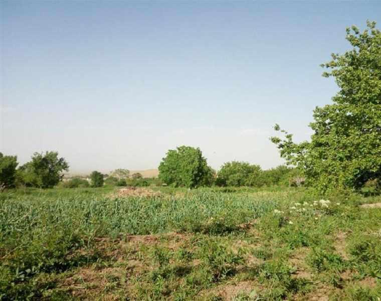 روستای جرجافک