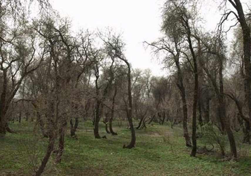 پناهگاه حیات وحش مهروئیه