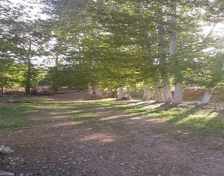 روستای سرتخت