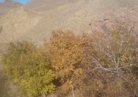 روستای خوشاب