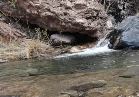 روستای زرقان (جغتای)