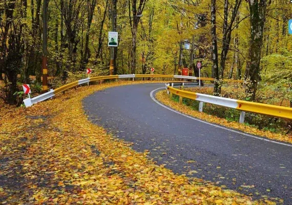 پارک جنگلی دلند
