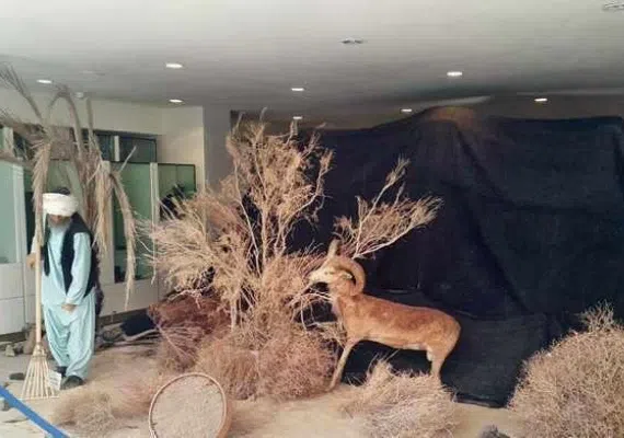 موزه بزرگ زاهدان