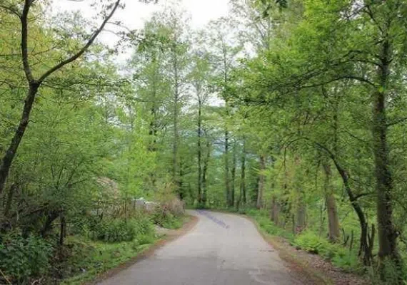 آبشار پلنگ دره