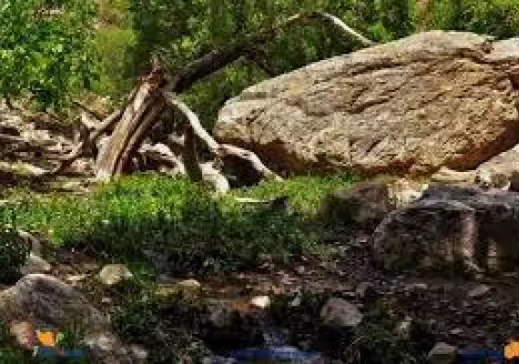 آبشار دره سبزرود