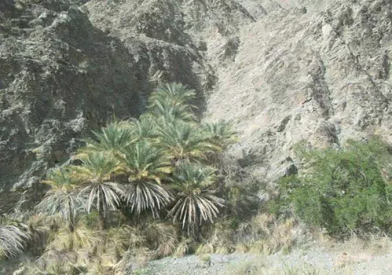 روستای دیدنی ده زرد شهرستان کهنوج